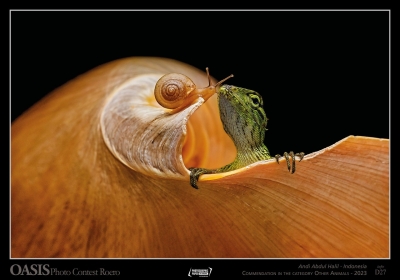 Commendation-in-the-category-other-2023-animals-andi-abdul-halil-indonesia