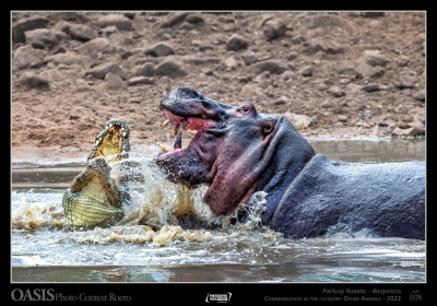 Commendation-in-the-category-other-animals-2023-pierluigi-rizzato-italia